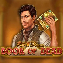 Book of Dead slot visual from Play'n GO available on 30-bet-casino.nl