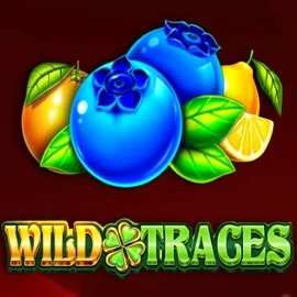 Enjoy Wild Traces by Amusnet Interactive – logo hosted on 30-bet-casino.nl